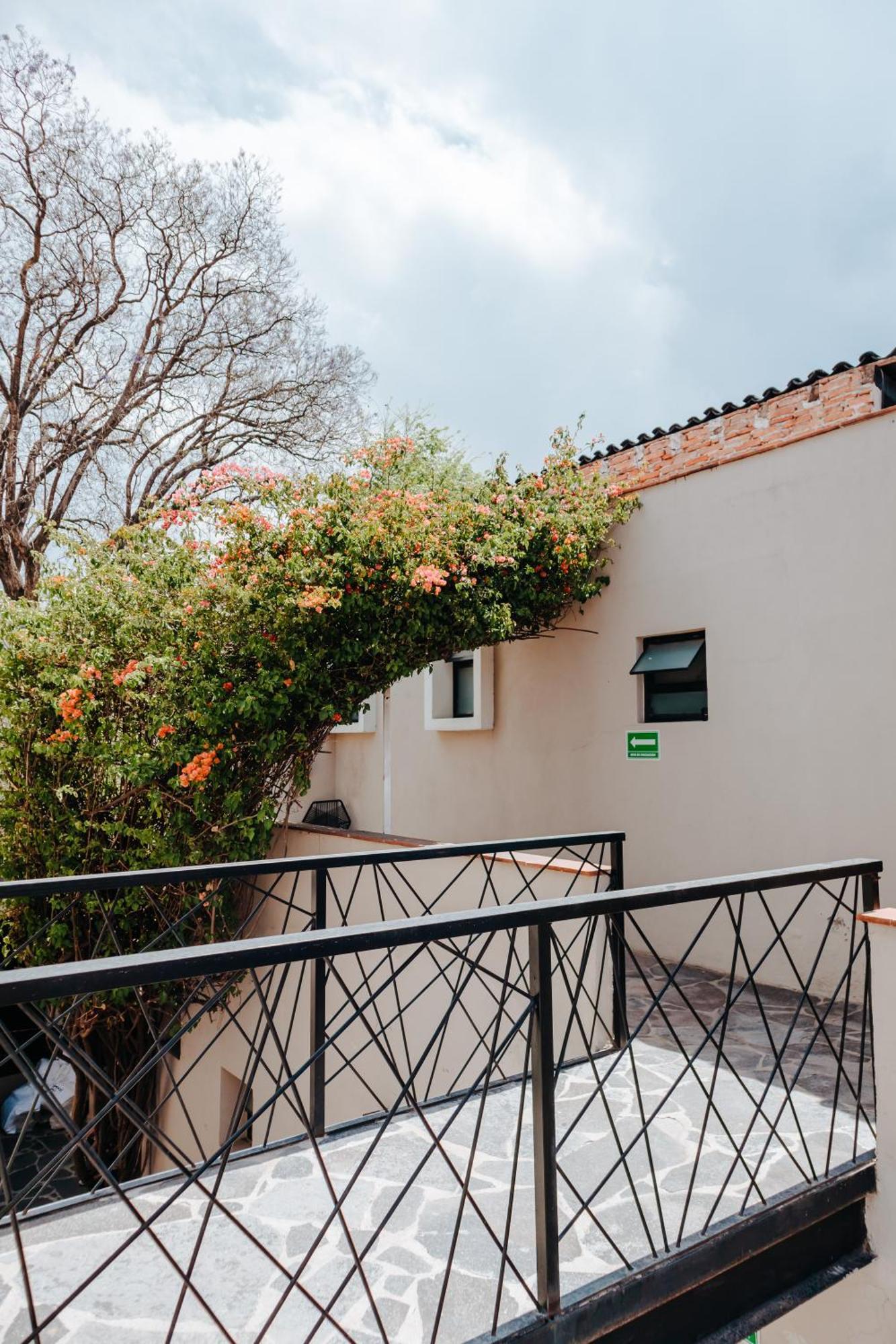 סאן מיגל דה אלנדה Hotel Maria Bonita מראה חיצוני תמונה